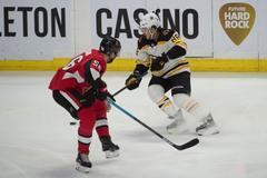 David Pastrňák v NHL 2018-19