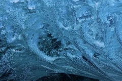 Elektronový mikroskop