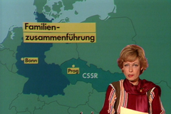 Cizinec hledá byt - náhledový