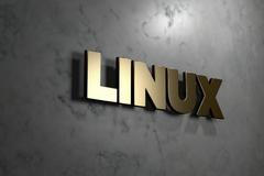 Linux / Opereční systém / Počítače / OS / Ilustrační foto / Shutterstock / 3