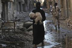 Sýrie - pes - povstalci