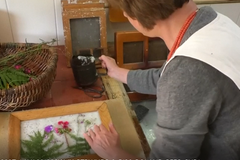 Ruční papír zachraňuje včely