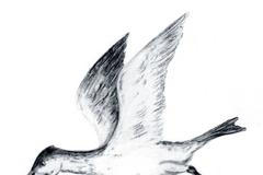 Pravěký pták Ichthyornis