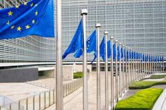 Evropská unie vlajka ilustrační