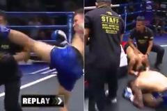 kickbox, knockoutovaný rozhodčí