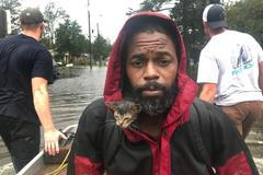 Muž a kočka, hurikán Florence