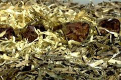 Mladého Řeka živí vyplavené mořské řasy. Start-upy oživují zadluženou zem