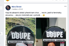 Sexistické prasátečko - nominace