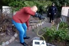 Odchyt jedovaté mamby zelené v Hlubočepích