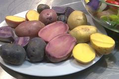 Jak poznat v obchodě dobré brambory a které nikdy nekoupit?