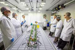 Fotogalerie / Jak se studenti se v Kanadě učí pěstovat marihuanu / Reuters / 2018