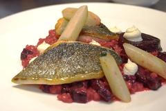 Zkuste mořského vlka