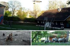 Vodní skauti ze Žižkova