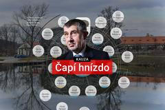 grafika - kauza capi hnizdo