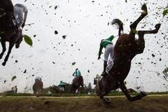 Velká pardubická, žokej Jan Kratochvíl, Taxisův příkop, kůň Sottovento, smrtelná nehoda