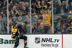 NHL 2018/19, Boston Bruins, David Pastrňák