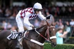 Crosscountry Železníka 2013: Josef Váňa mladší