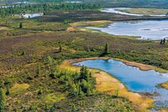 Ilustrační foto / Sibiř / iStock