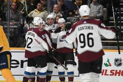NHL 2018/19, Colorado Avalanche