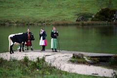 Bavorsko selky s krávou (a mobilem) čekají na přívoz na jezeře Königssee NEPOUŽÍVAT DO 12.10. 2018