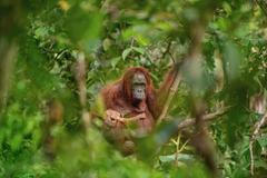 7_Příroda, věda a životní prostředí_CPP 2018_Single