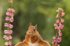 Finalisté fotosoutěže Comedy Wildlife Photography Awards 2018