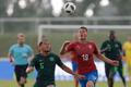 Česko - Nigérie, příprava před MS 2018