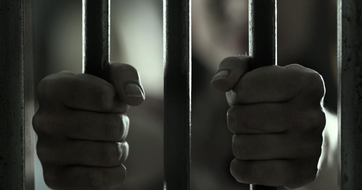 Mučili kočku a natáčeli si to. Pachatelům hrozí až tři roky vězení