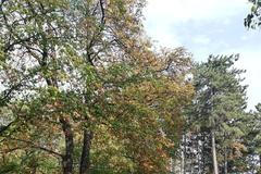 Sucho - Letenské sady