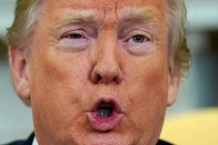 Zesvětleno / Foto / Donald Trump / Prezident USA