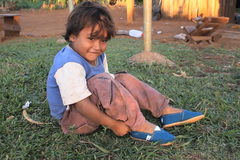 Jejich koupí zajistíte někomu alespoň o trochu lepší život. Tomsky jsou dnes must-have doplňkem