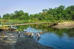 Ind už 40 let sází stromy na osamělém ostrově Majuli. Ukázka z filmu: The Man Who Planted A Forest
