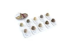 Kávové kapsle bez hliníku a plastu. Nápad, který české studentce zajistil cenu Model Young Package