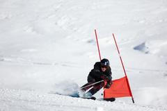 Lyžař, lyže, zima