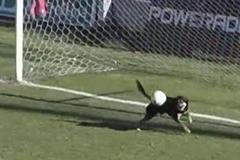 fotbal, pes brankářem