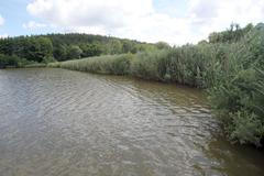 Místa pro nové přehrady u Rakovníka