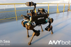 Vyjde schody, přivolá si výtah. Autonomní robot ANYmal se představuje