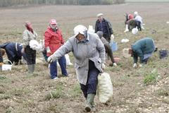 Foto: Krize a barterový obchod