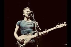 Sting