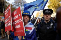 Protesty proti brexitu ze 14. listopadu 2018.