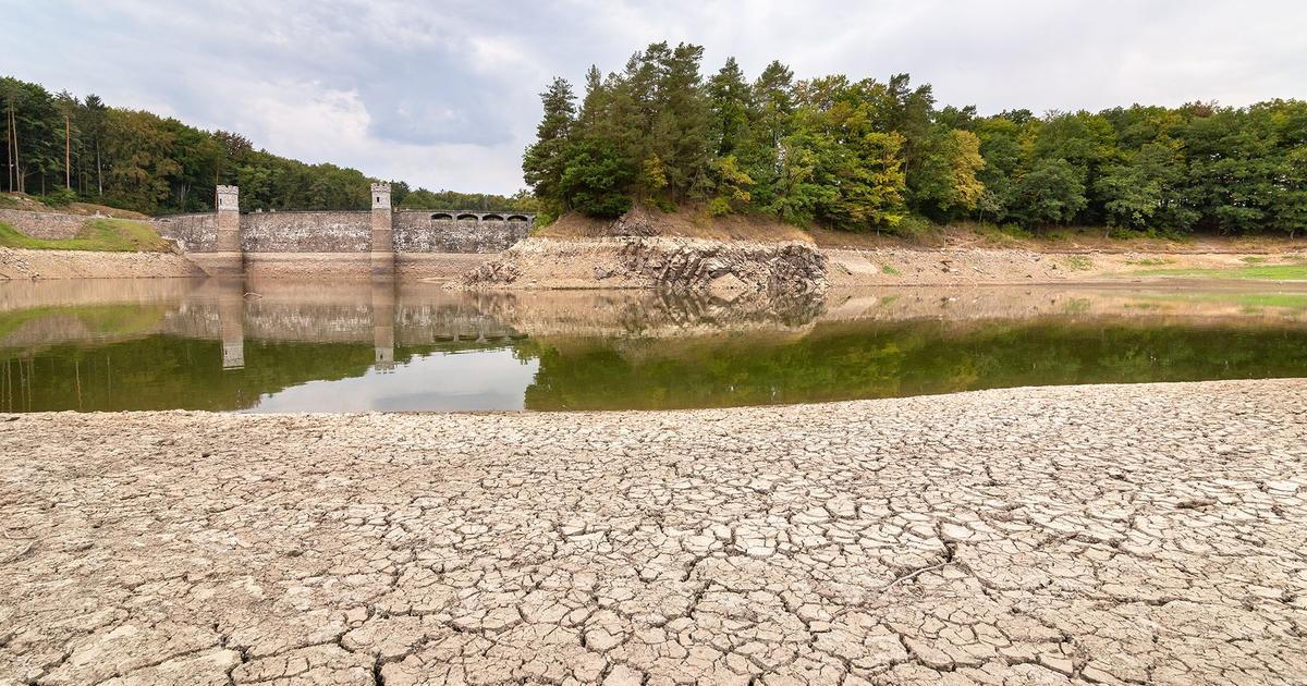 V Česku je kritické sucho, meteorologové varují před požáry z táboráků