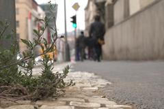 Asfalt rozlitý na dlážděném chodníku. Tak se opravuje silnice v centru Prahy