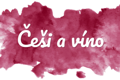 Češi a víno