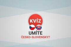 Pouták česko-slovenský jazykový kvíz
