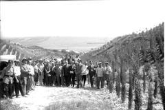 Masarykův les Sarid TGM