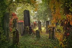 Židovský hřbitov, Vídeň