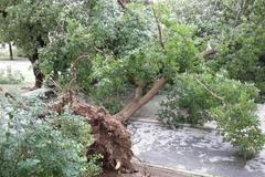 Hasiči v Jihomoravském kraji odstraňovali následky bouřky