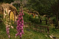 Ze starého harampádí stvořili Hobitín. Kluci z Orlických hor si splnili klukovský sen