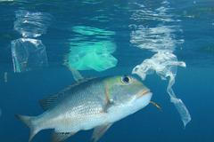 Moře znečištěné plasty, ilustrační foto.