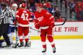 NHL 2018/19, Detroit Red Wings, Filip Zadina